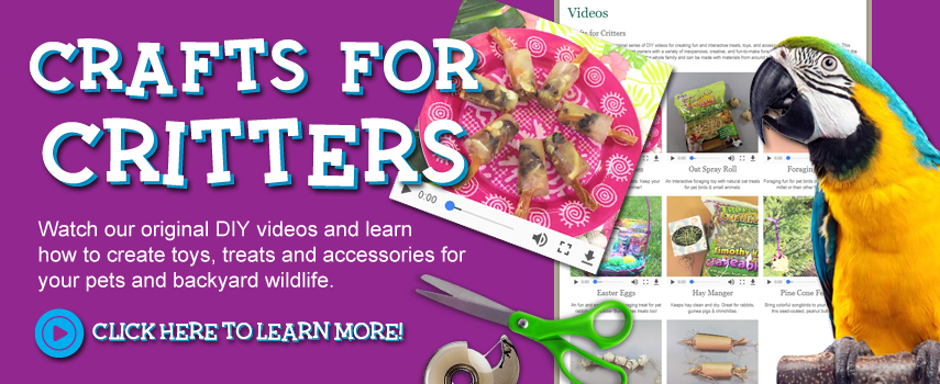Crafts for Critters