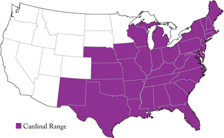 popular north american wild birds cardinal f m brown s popular north american wild birds cardinal f m brown s