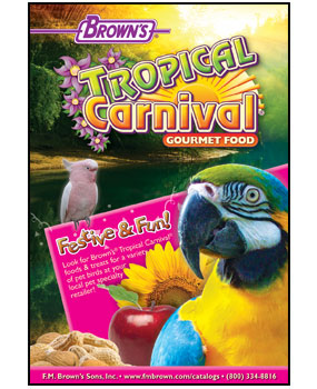 USA Today Pet Food Ad