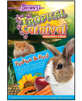 USA Today Pet Food Ad