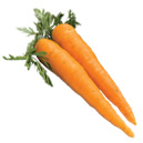 Carrotsl
