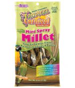 Tropical Carnival Foraging Treat Natural Mini Spray Millet