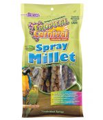 Tropical Carnival Foraging Treat Natural Spray Millet
