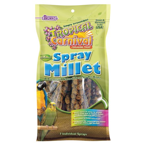 Tropical Carnival Foraging Treat Natural Spray Millet
