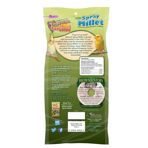 Tropical Carnival Foraging Treat Natural Spray Millet