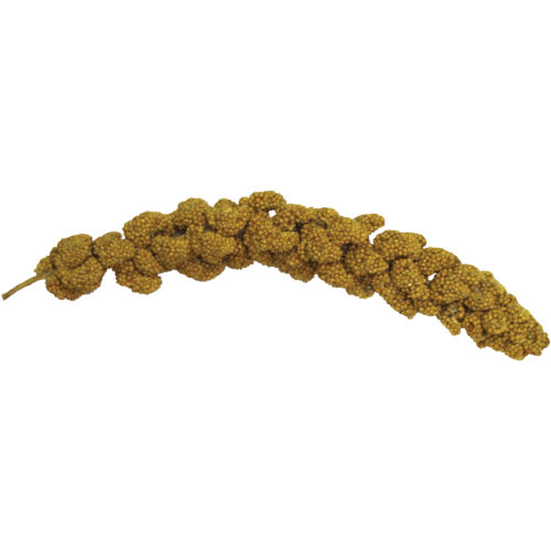 Tropical Carnival® Natural Spray Millet