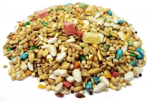Extreme! Gourmet Parakeet Food™ -1334