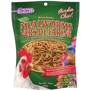 Garden Chic!® Mealworms