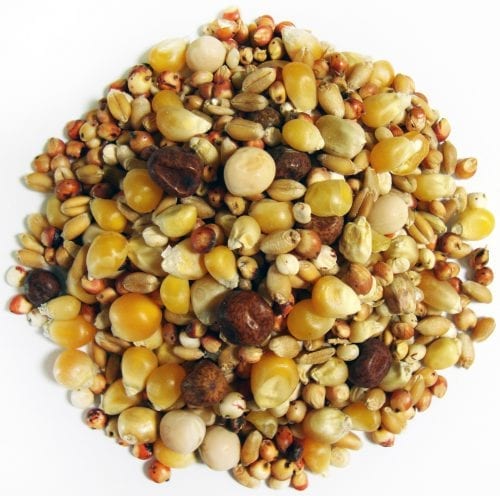 Thrifty Popcorn-1457