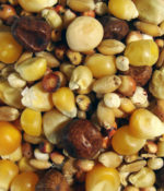 Thrifty Popcorn-0