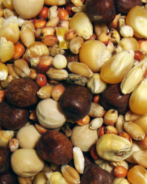 Breeder Popcorn-0