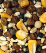International Small Corn-0