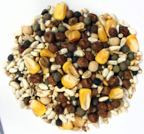International Small Corn-1521