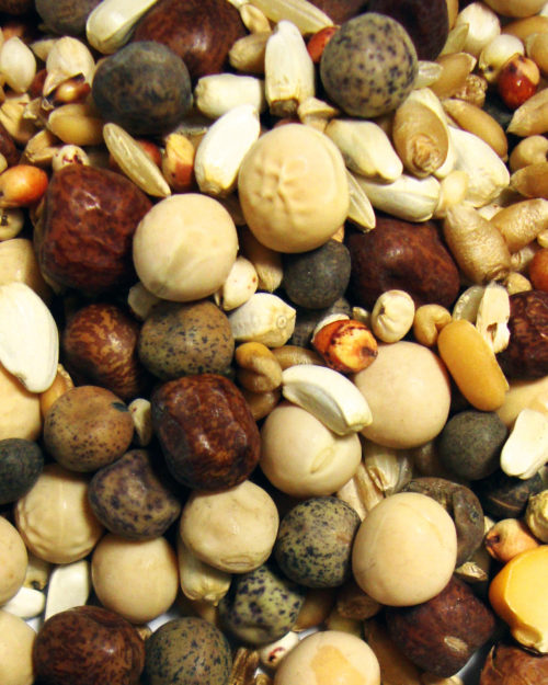 Rock Mix No Corn-0