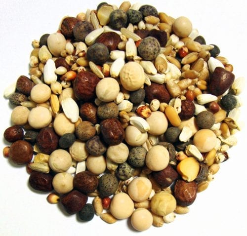Rock Mix No Corn-1554