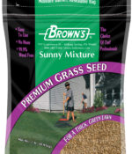 Green Turf Sunny Mixture-0