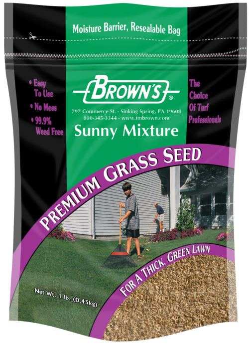 Green Turf Sunny Mixture-0