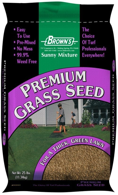 Green Turf Sunny Mixture-1699