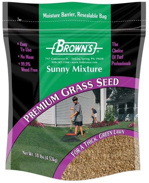Green Turf Sunny Mixture-1698