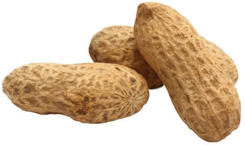 Song Blend® Unsalted In-Shell Whole Peanuts-1773