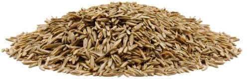 Brown's® Pee Patch Repair™ Quick-Growing Grass Seed Mixture-2123