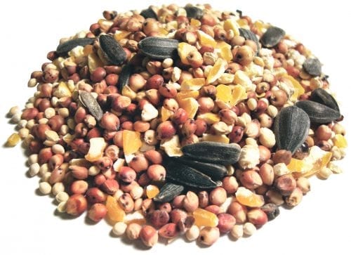 Value Blend Select™ Natural Wild Bird Food-2222
