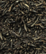Nyjer (Thistle Seed)-0