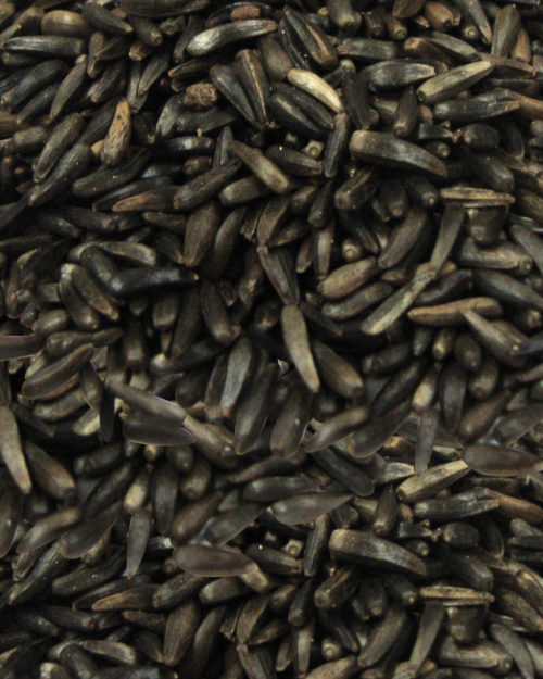Nyjer (Thistle Seed)-0