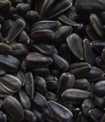 Dark Oil Sunflower Seeds-0