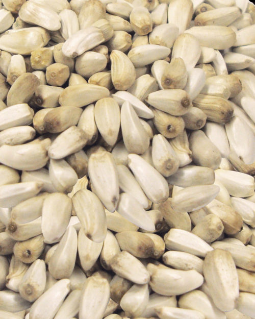 Safflower Seeds-0