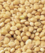 White Proso Millet-0