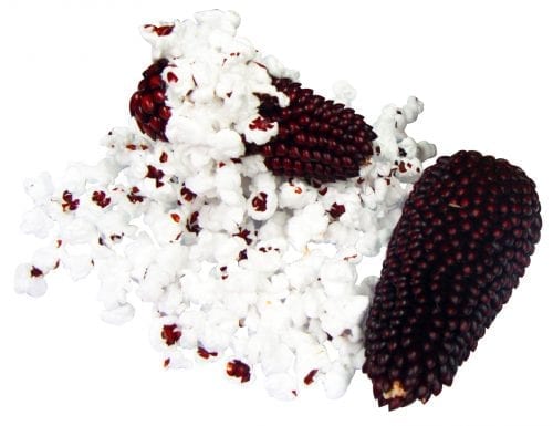Extreme!™ Mini Corn on the Cob-2442