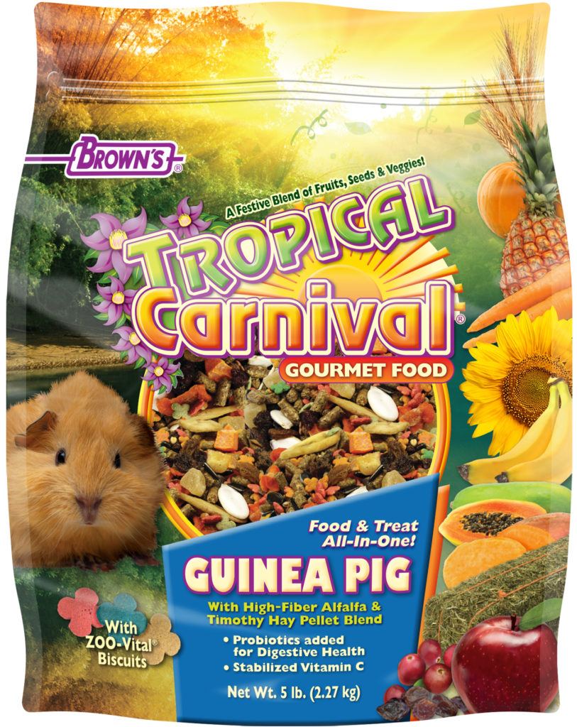 guinea pig biscuits