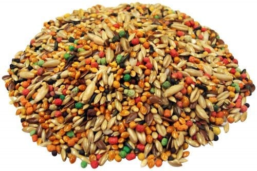 Encore® Premium Canary & Finch Food