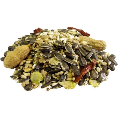 Encore® Classic Natural Parrot Food