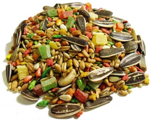 Encore® Gourmet Foraging Feast® Cockatiel Food