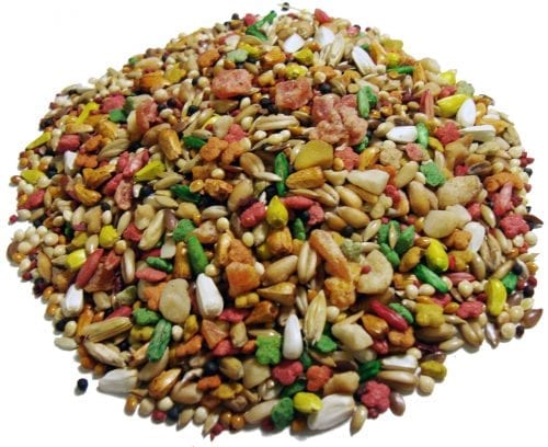 Encore® Gourmet Foraging Feast® Parakeet Food