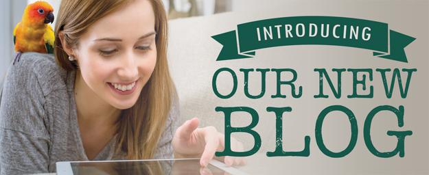 Introducing Our New Blog!