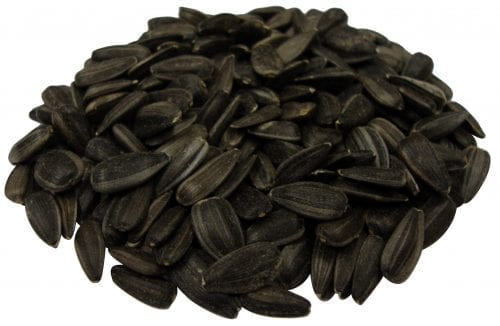 Song Blend® Dark Oil Sunflower Seeds