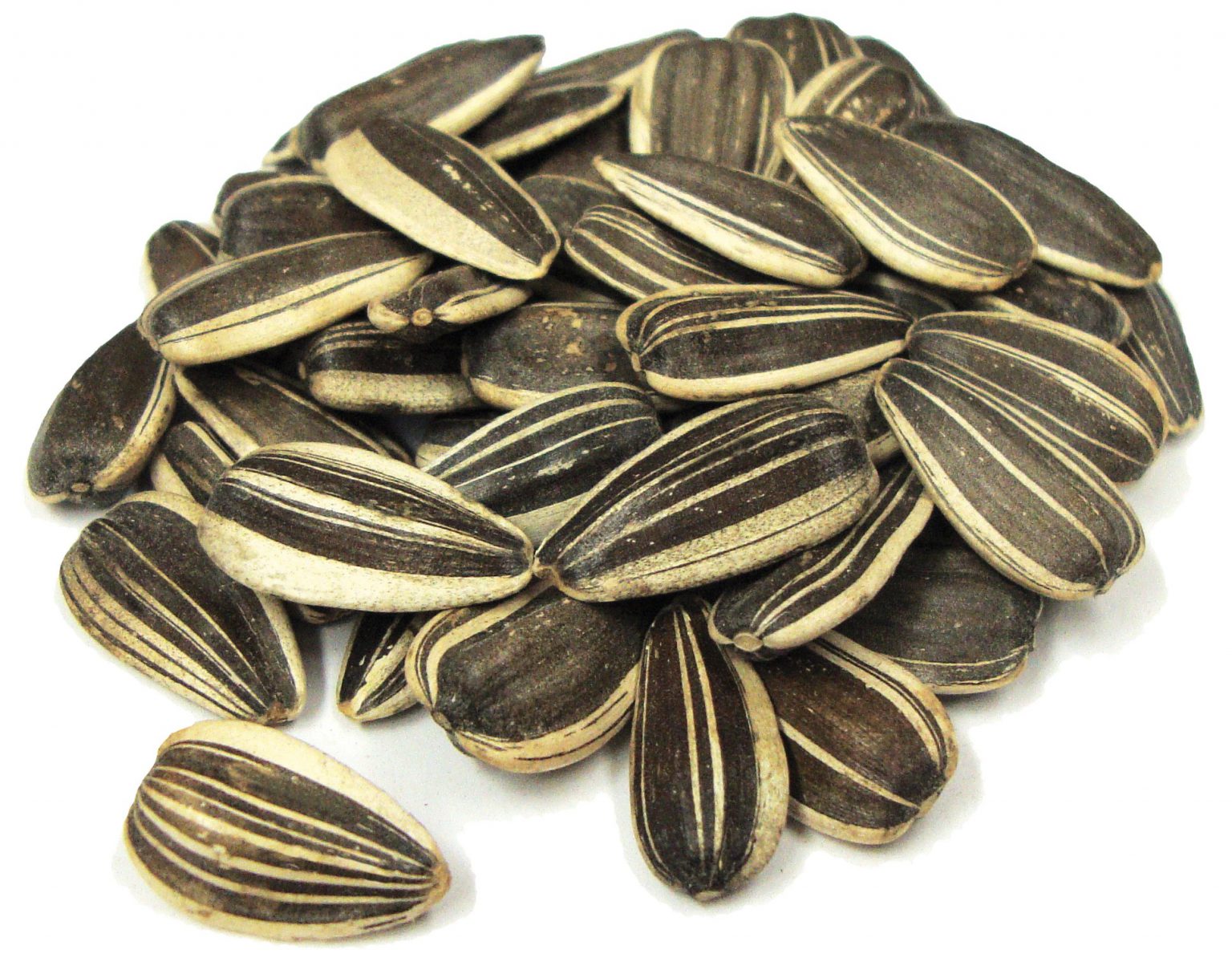 sunflower seeds cleats