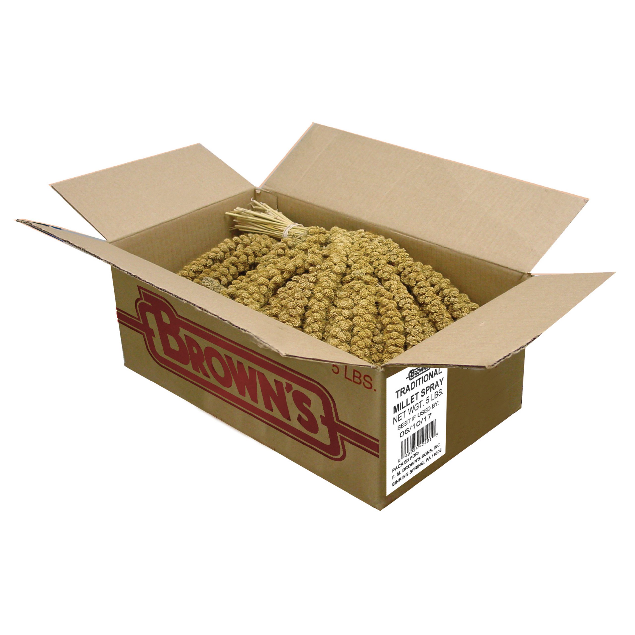 spray millet bulk