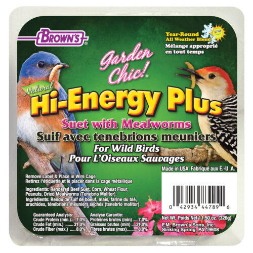Garden Chic!® Hi-Energy™ Plus Suet with Mealworms