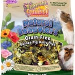 TCNaturalBehaviorsGuineaPig061219