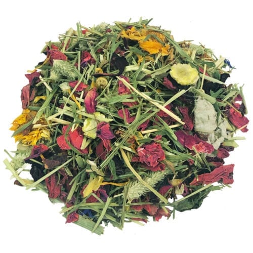 Tropical Carnival® Natural Behaviors® Bio-Treat for Small Animals