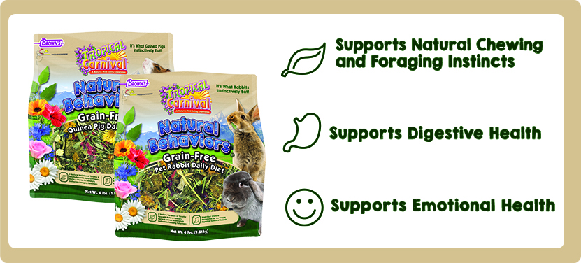 Tropical Carnival Natural Behaviors Daily Diet And Treats