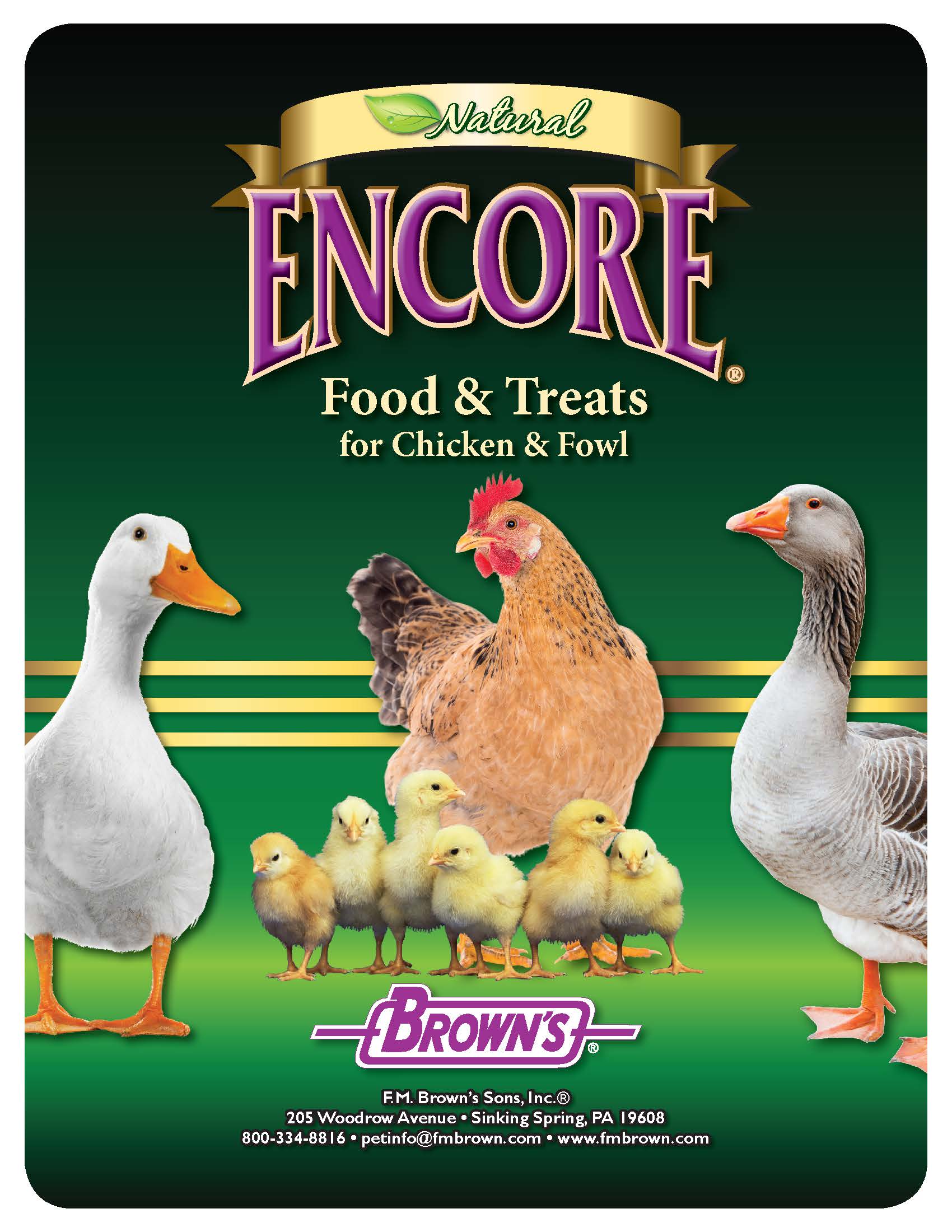 Product Catalogs