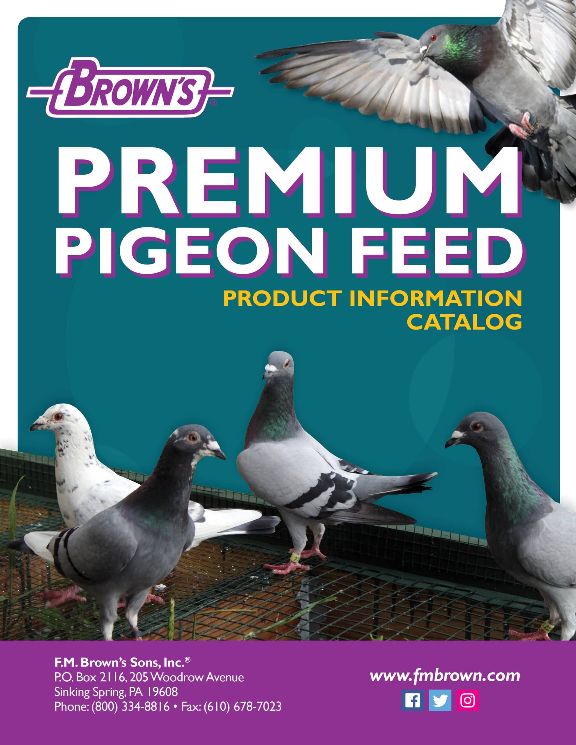 Product Catalogs