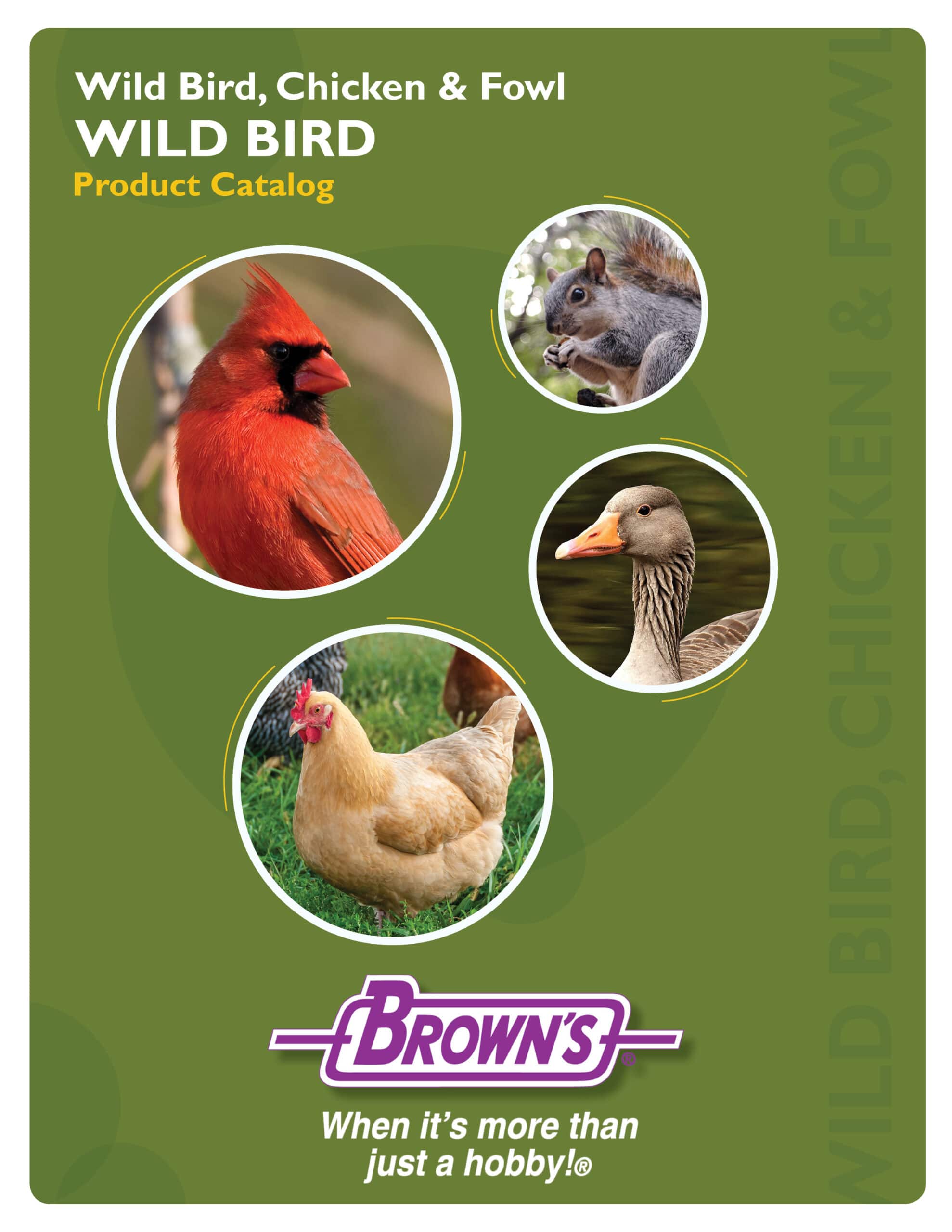 Product Catalogs