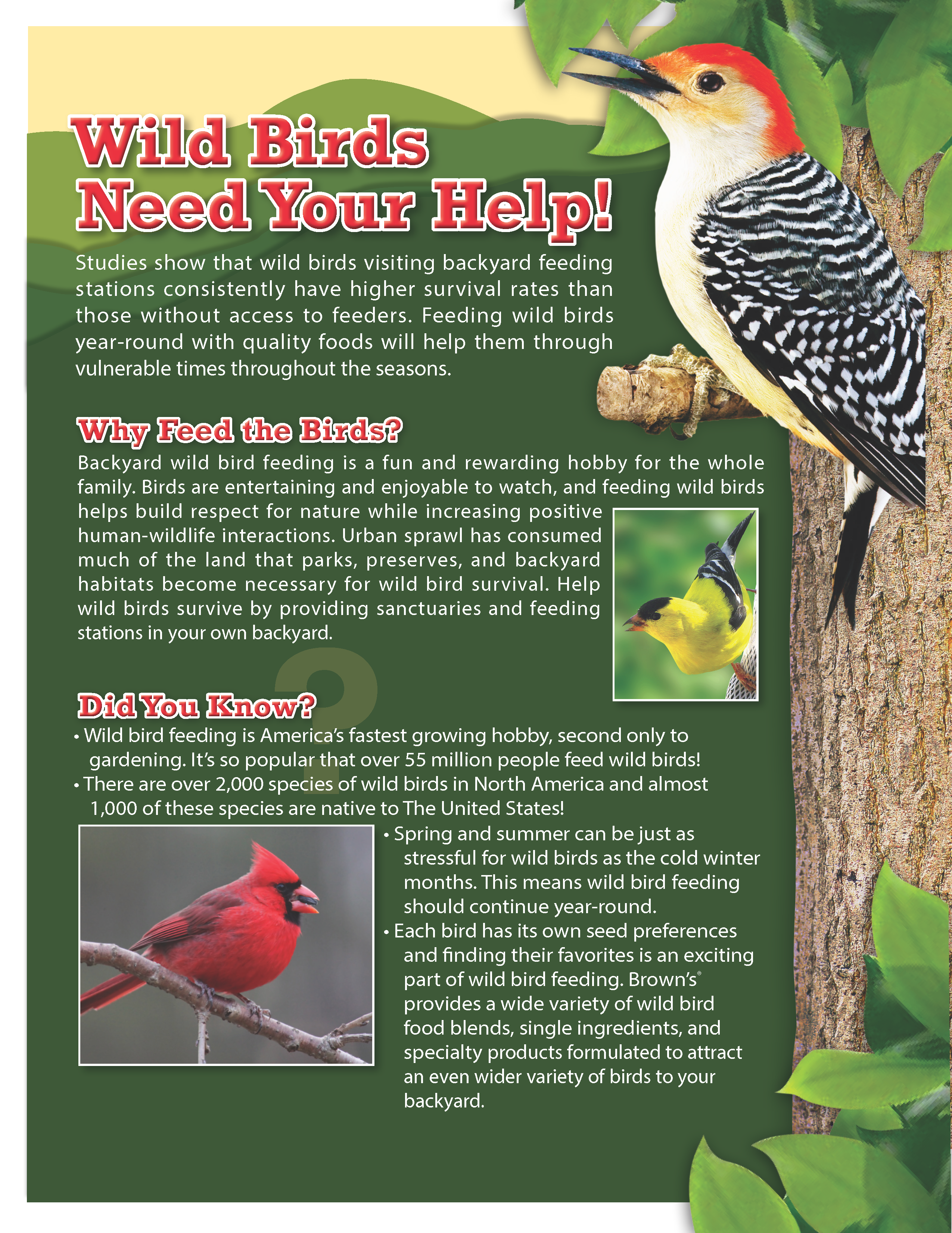 Wild Birds Need Our Help