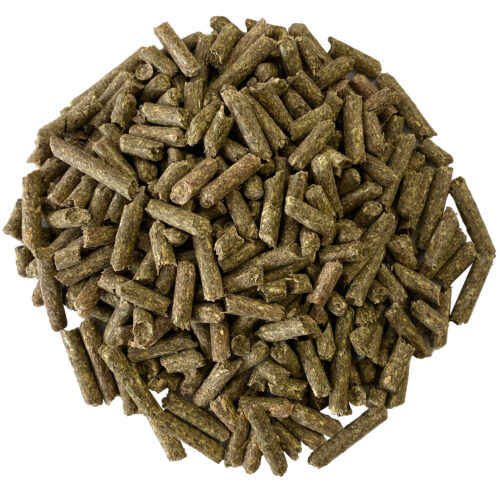 Tropical Carnival® Natural Behaviors Foraging Pellets Adult Chinchilla Daily Diet 3 lb.